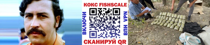 КОКАИН Fish Scale  это официальный сайт  Ногинск 