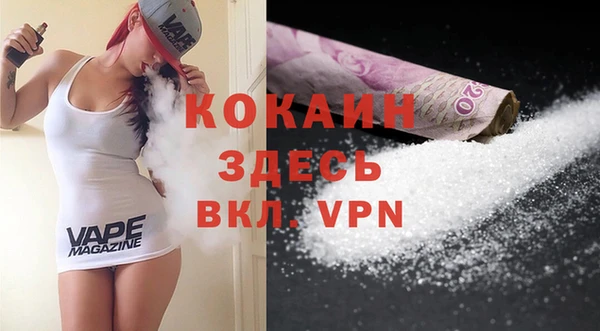 мдпв Няндома