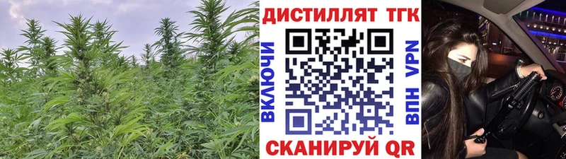 даркнет сайт KRAKEN зеркало ТГК вейп Ногинск