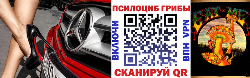omg ТОР  сколько стоит  Ногинск  Галлюциногенные грибы GOLDEN TEACHER 